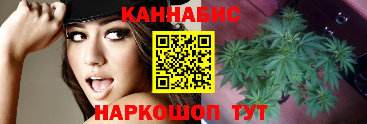 Ачхой-Мартан  Конопля гибрид  Вход с VPN  Марихуана Amnesia  Шишки марихуана сатива 